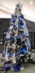 DSCN0122.jpg