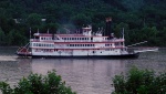 BSI Bellevue 50.jpg