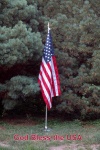 BSI Spring Grove 13.jpg