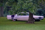 BSI Cold Spring04.jpg