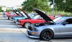 DSC_0665.jpg